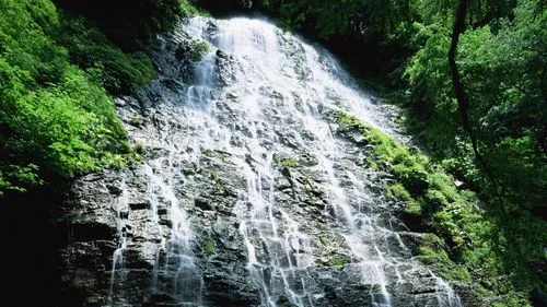 智能高性能高端